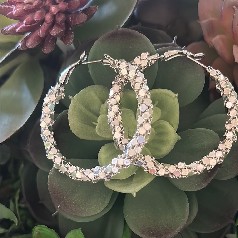 Glitzy Silver Hoop Earrings
